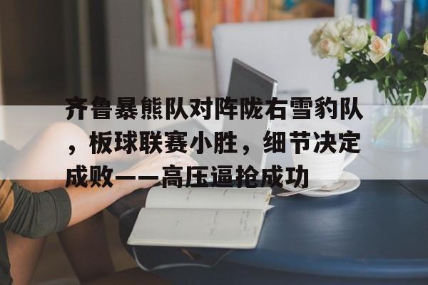 2025最火手游 齐鲁暴熊队对阵陇右雪豹队，板球联赛小胜，细节决定成败——高压逼抢成功